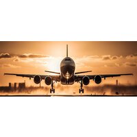 Картина Stamprint Взлет VR019 (50x125) - Превью изображения №1 — Интернет-магазин ПроЗаказ