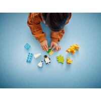 Конструктор LEGO Duplo Семейства диких животных: Пингвины и Львы 10442 - Превью изображения №8 — Интернет-магазин ПроЗаказ