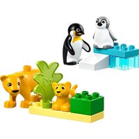 Конструктор LEGO Duplo Семейства диких животных: Пингвины и Львы 10442 - Превью изображения №2 — Интернет-магазин ПроЗаказ