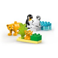 Конструктор LEGO Duplo Семейства диких животных: Пингвины и Львы 10442 - Превью изображения №3 — Интернет-магазин ПроЗаказ