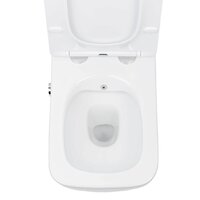 Унитаз подвесной Roxen Cube bidet в комплекте с инсталляцией StounFix Dual Fresh 6 в 1 968472 (кнопка: брашированное золото) - Превью изображения №7 — Интернет-магазин ПроЗаказ