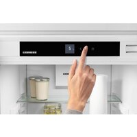 Однокамерный холодильник Liebherr IRe 5100 Pure - Превью изображения №10 — Интернет-магазин ПроЗаказ