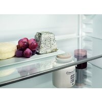 Холодильник Liebherr ICNd 5123 Plus NoFrost 5123-22001 - Превью изображения №10 — Интернет-магазин ПроЗаказ