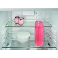 Холодильник Liebherr ICNd 5123 Plus NoFrost 5123-22001 - Превью изображения №11 — Интернет-магазин ПроЗаказ