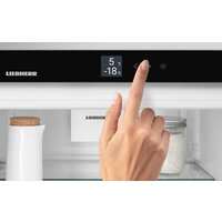 Холодильник Liebherr ICNd 5123 Plus NoFrost 5123-22001 - Превью изображения №15 — Интернет-магазин ПроЗаказ