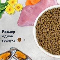 Сухой корм для кошек Brit care Superpremium Kitten с индейкой для котят, беременных и кормящих кошек (здоровый рост) 7 кг - Превью изображения №9 — Интернет-магазин ПроЗаказ
