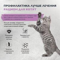Сухой корм для кошек Brit care Superpremium Kitten с индейкой для котят, беременных и кормящих кошек (здоровый рост) 7 кг - Превью изображения №6 — Интернет-магазин ПроЗаказ