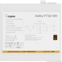 Блок питания Ocypus Delta P750 Delta-P750-B1FDWH025X-EU - Превью изображения №5 — Интернет-магазин ПроЗаказ
