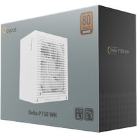 Блок питания Ocypus Delta P750 Delta-P750-B1FDWH025X-EU - Превью изображения №7 — Интернет-магазин ПроЗаказ
