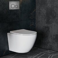 Унитаз подвесной Roxen Antares One Rimless 6 в 1 StounFix Dual Fresh 624013 (оружейная сталь/металл) - Превью изображения №11 — Интернет-магазин ПроЗаказ