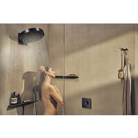 Смеситель Hansgrohe 15572670 - Превью изображения №2 — Интернет-магазин ПроЗаказ