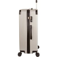 Чемодан-спиннер Supra Luggage STS-1003-L (Silver Quartz) - Превью изображения №6 — Интернет-магазин ПроЗаказ
