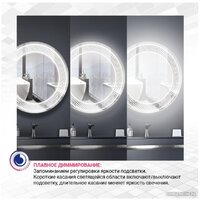 Зеркало Doratiz Ева 100x80 2711.919 - Превью изображения №10 — Интернет-магазин ПроЗаказ