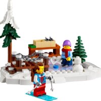 Конструктор LEGO Icons 10325 Альпийский домик - Превью изображения №9 — Интернет-магазин ПроЗаказ