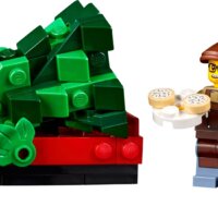 Конструктор LEGO Icons 10325 Альпийский домик - Превью изображения №11 — Интернет-магазин ПроЗаказ