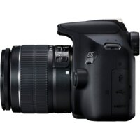 Зеркальный фотоаппарат Canon EOS 2000D Kit 18-55mm IS II - Превью изображения №5 — Интернет-магазин ПроЗаказ