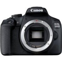 Зеркальный фотоаппарат Canon EOS 2000D Kit 18-55mm IS II - Превью изображения №7 — Интернет-магазин ПроЗаказ