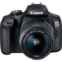 Зеркальный фотоаппарат Canon EOS 2000D Kit 18-55mm IS II - Превью изображения №3 — Интернет-магазин ПроЗаказ