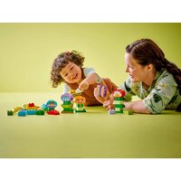 Конструктор LEGO Duplo Креативный цветочный сад 10444 - Превью изображения №6 — Интернет-магазин ПроЗаказ