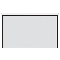 Future Vision Cinema 240 W240HMW