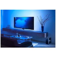 Беспроводной сабвуфер Philips Fidelio TAFW1/10 - Превью изображения №14 — Интернет-магазин ПроЗаказ