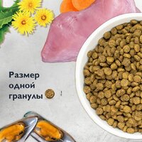 Сухой корм для кошек Brit care Superpremium Sensitive с индейкой и ягненком (чувствительное пищеварение) 7 кг - Превью изображения №10 — Интернет-магазин ПроЗаказ