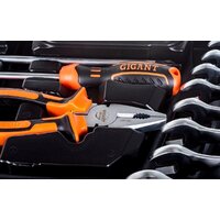 Универсальный набор инструментов Gigant GAS 119 (119 предметов) - Превью изображения №7 — Интернет-магазин ПроЗаказ