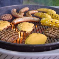 Гриль Weber Performer 1501630 - Превью изображения №6 — Интернет-магазин ПроЗаказ