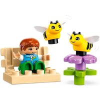 Конструктор LEGO Duplo 10419 Уход за пчелами и ульями - Превью изображения №5 — Интернет-магазин ПроЗаказ