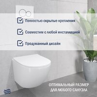 Унитаз подвесной Lauter Sulzdorf + GROHE Rapid SL 38772001 + панель GROHE 37131000 (белый с микролифтом) - Превью изображения №6 — Интернет-магазин ПроЗаказ