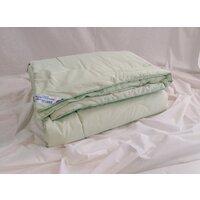 Одеяло Delford Эвкалипт Стандарт ПВХ 220x200 4ЭХН1-уп11 - Превью изображения №4 — Интернет-магазин ПроЗаказ