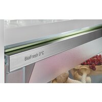 Холодильник Liebherr ICBSd 5122 Plus - Превью изображения №5 — Интернет-магазин ПроЗаказ