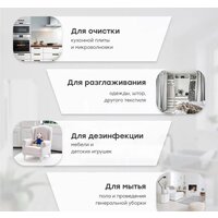 Пароочиститель Bort BDR-3000-RR - Превью изображения №30 — Интернет-магазин ПроЗаказ