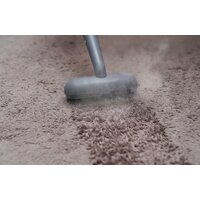 Пароочиститель Bort BDR-3000-RR - Превью изображения №26 — Интернет-магазин ПроЗаказ