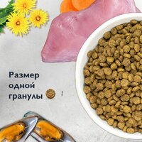 Сухой корм для кошек Brit Care Superpremium Anti-Hairball с белой рыбой и индейкой (вывод шерсти) 7 кг - Превью изображения №10 — Интернет-магазин ПроЗаказ
