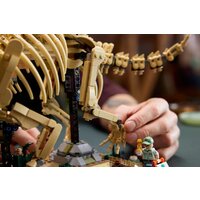 Конструктор LEGO Jurassic World 77985 Окаменелости динозавров: Трицератопс - Превью изображения №11 — Интернет-магазин ПроЗаказ