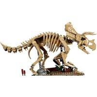 Конструктор LEGO Jurassic World 77985 Окаменелости динозавров: Трицератопс - Превью изображения №3 — Интернет-магазин ПроЗаказ