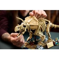 Конструктор LEGO Jurassic World 77985 Окаменелости динозавров: Трицератопс - Превью изображения №12 — Интернет-магазин ПроЗаказ