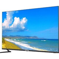 Телевизор Polarline 55PU52TC-SM - Превью изображения №2 — Интернет-магазин ПроЗаказ