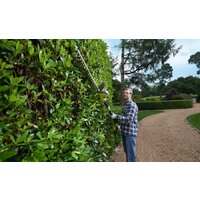 Высоторез Ryobi OPT1845 (без АКБ) - Превью изображения №2 — Интернет-магазин ПроЗаказ