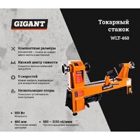 Токарный станок Gigant WLT-460 - Превью изображения №3 — Интернет-магазин ПроЗаказ