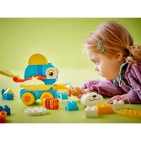 Конструктор LEGO Duplo Животные на колесах 3в1 10448 - Превью изображения №8 — Интернет-магазин ПроЗаказ