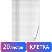BRAUBERG 128645 (20 листов, клетка)