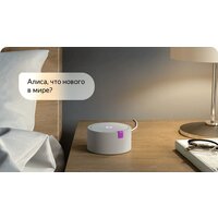 Умная колонка Яндекс Станция Мини (белый) + 3 игрушки Холодное сердце - Превью изображения №14 — Интернет-магазин ПроЗаказ