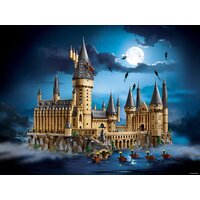 Конструктор LEGO Harry Potter 71043 Замок Хогвартс - Превью изображения №21 — Интернет-магазин ПроЗаказ