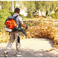 Ранцевая воздуходувка Daewoo Power DABL 760 - Превью изображения №19 — Интернет-магазин ПроЗаказ