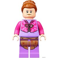 Конструктор LEGO Harry Potter 76388 Визит в деревню Хогсмид - Превью изображения №19 — Интернет-магазин ПроЗаказ