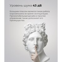 Морозильник MAUNFELD MFFR170SB - Превью изображения №16 — Интернет-магазин ПроЗаказ