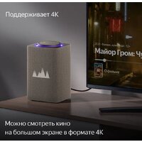 Умная колонка Яндекс Станция Макс (с хабом умного дома Zigbee, бежевый) - Превью изображения №5 — Интернет-магазин ПроЗаказ