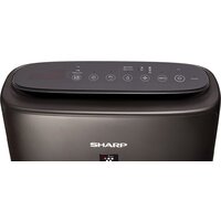 Климатический комплекс Sharp KIN-41RH - Превью изображения №4 — Интернет-магазин ПроЗаказ